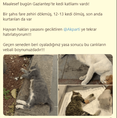 Gaziantep’te Hayvanat Bahçesinde Vahşet !