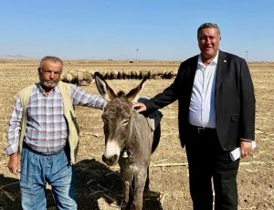 CHP Niğde Milletvekili Ömer Fethi Gürer, “hayvancılıkta sorunlar artıyor10 YILDA 10 MİLYON BÜYÜKBAŞ HAYVAN İTHAL ETTİK