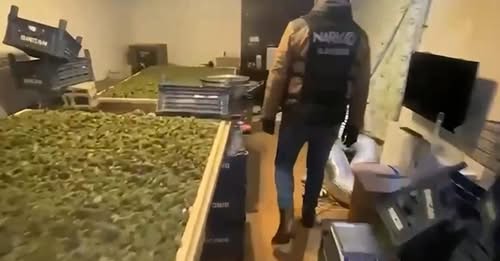 65 İlde Zehir Tacirlerine Operasyon: 768 Kişi Yakalandı.