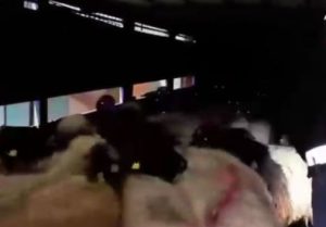 Zehir tüccarlarının koyunlara  zulmü 29 koyunun karnında dikiş izi olduğu görünüyor