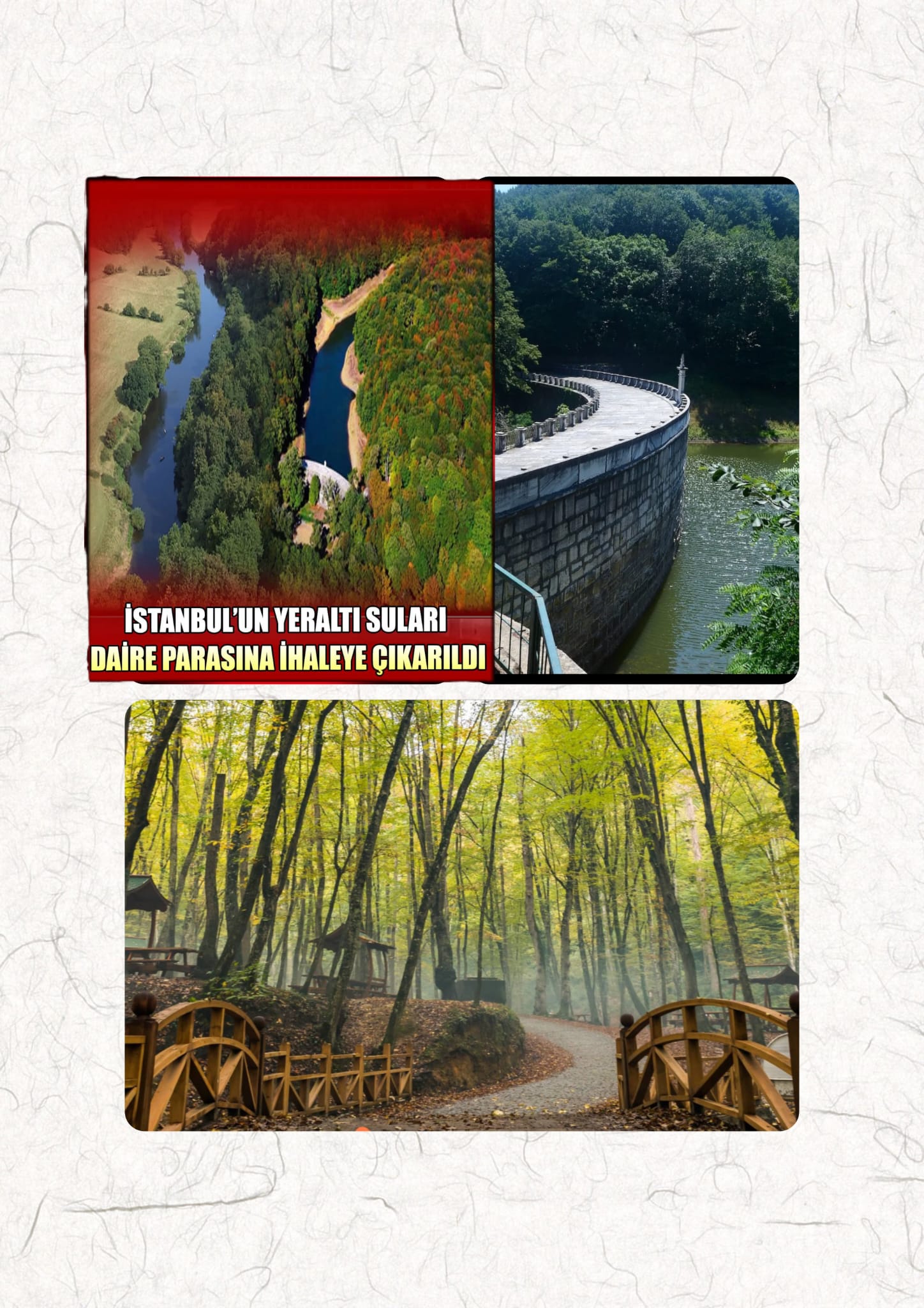 İSTANBUL’UN CAN DAMARI BELGRAD ORMANLARI SUYU SATILIYOR !