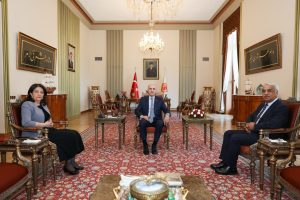  “BOŞUNA DEMEMİŞLER YAPARSA AKPARTİ YAPAR”