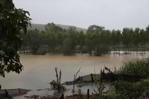 SAKARYA’DA SEL FELAKETİ