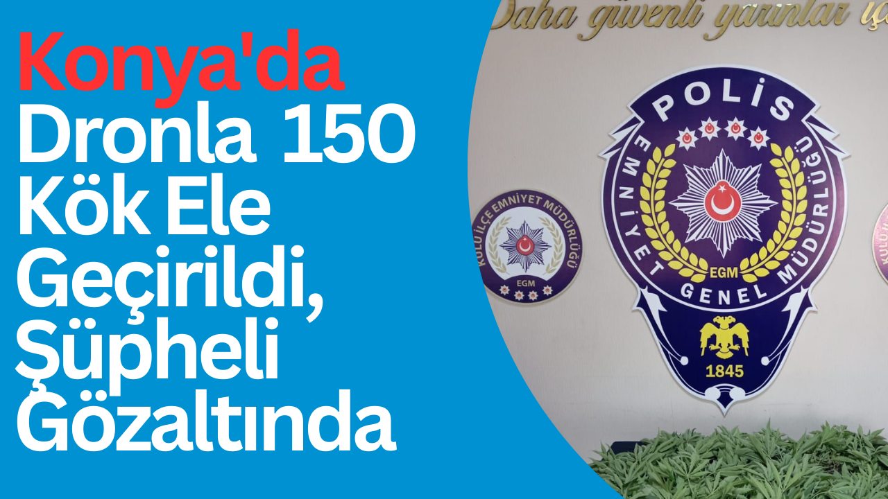 Konya’da Dronla Hint Keneviri Tarlası Tespit Edildi: 150 Kök Ele Geçirildi, Şüpheli Gözaltında