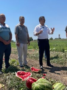 KARPUZ DEĞİL, DERT TARLASI!