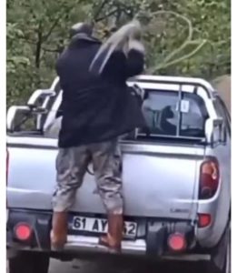 Halatla köpeği döven adam gözaltına alındı