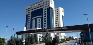 KİMSE FARKETMEZ SANDILAR YÖNETMELİK YAYINLADILAR