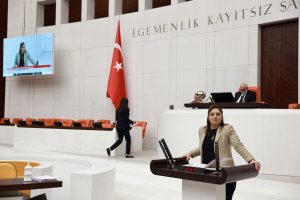 Ülkemizi Avrupalıya Yazlık, Mülteciye Avrupa’ya Giriş bileti  Yaptınız
