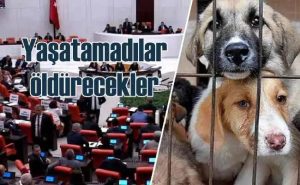 Katliam Yasası Yönetmeliği Yolda; Yasadan da Kötü !