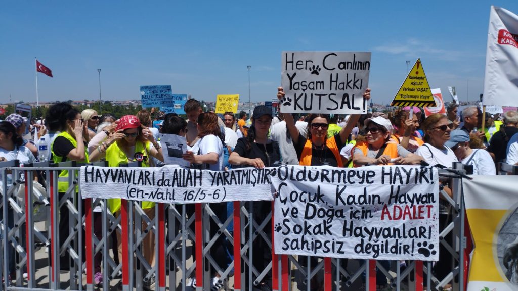 İstanbul’da Merhamet Dalgası: Katliam Yasasına Karşı Büyük Direniş
