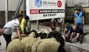 20 KURBAN 80 AİLEYE ULAŞTI