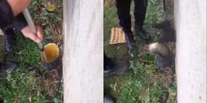 İTFAİYE EKİPLERİNCE KURTARILDI