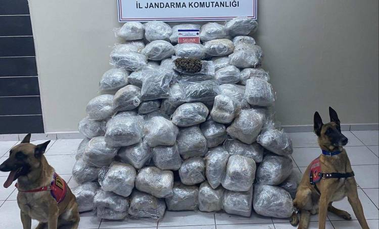 Elazığ’da 138 kilo Skunk Ele Geçirildi.