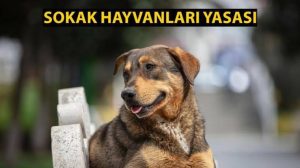 Sokak Hayvanları Yasası TBMM Geçti !