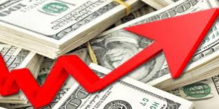 DOLAR 18,83’TL’Yİ GÖREREK REKOR SEVİYEYE ÇIKTI, EURO DA 19,96 TL OLDU