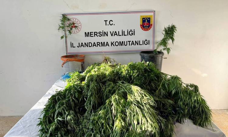 Mersin’de Jandarmadan Uyuşturucu Operasyonu! 3 Kişi Gözaltına Alındı.