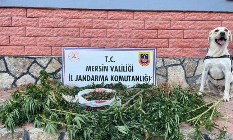 Mersin İl Jandarmadan Uyuşturucu Operasyonu! 2 Kişi Gözaltına Alındı.